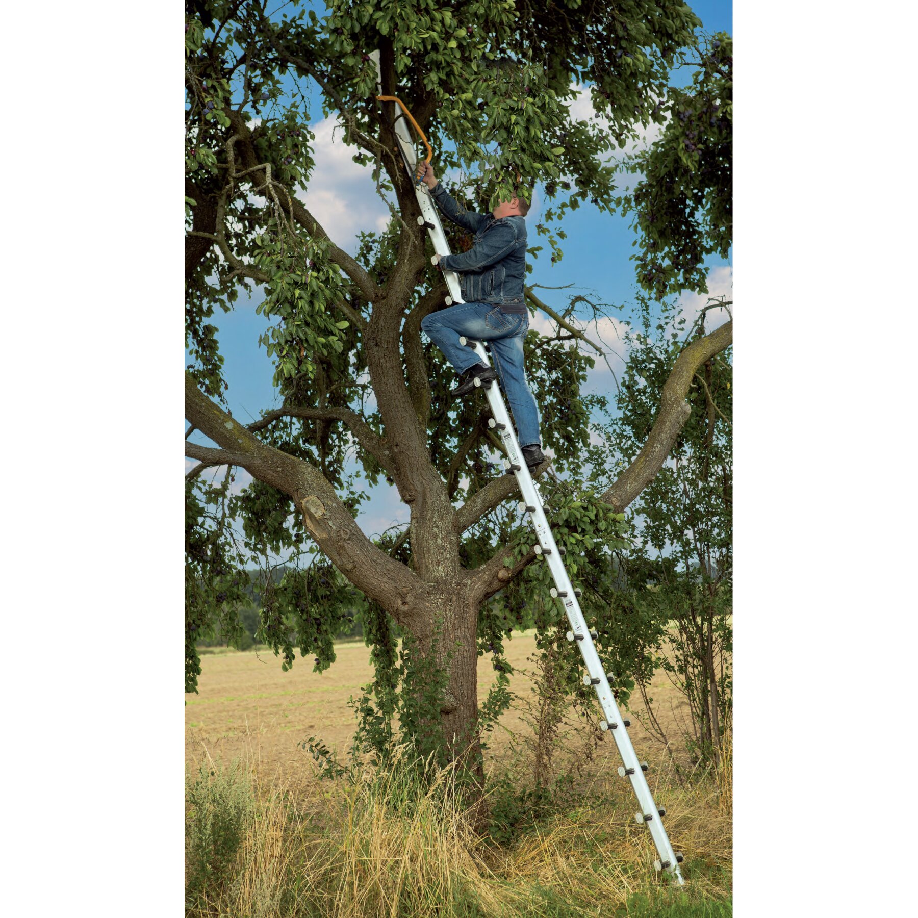 Diese Spezialleiter wurde in Deutschland...