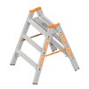TOPIC-SCHWERLASTTRITT 2X3 STUFEN (BG-Bau gefördert(
